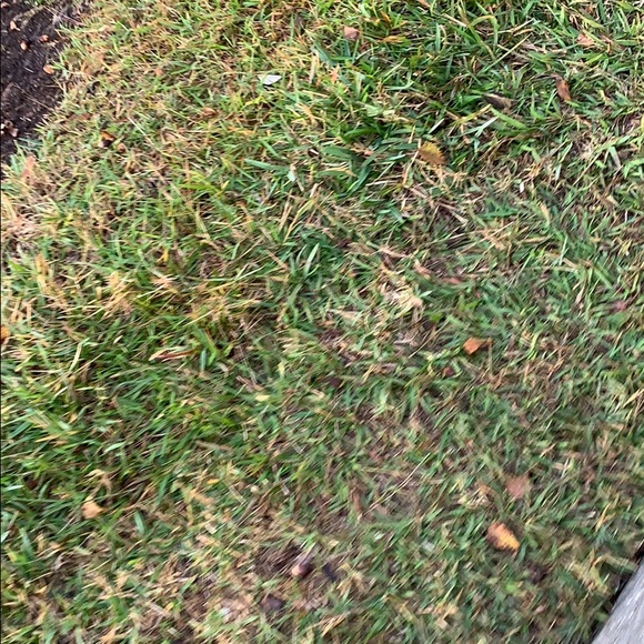 Meet your Posher, K - Picture 1 of 1